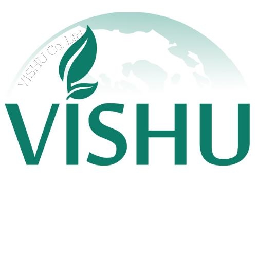 株式会社VISHU